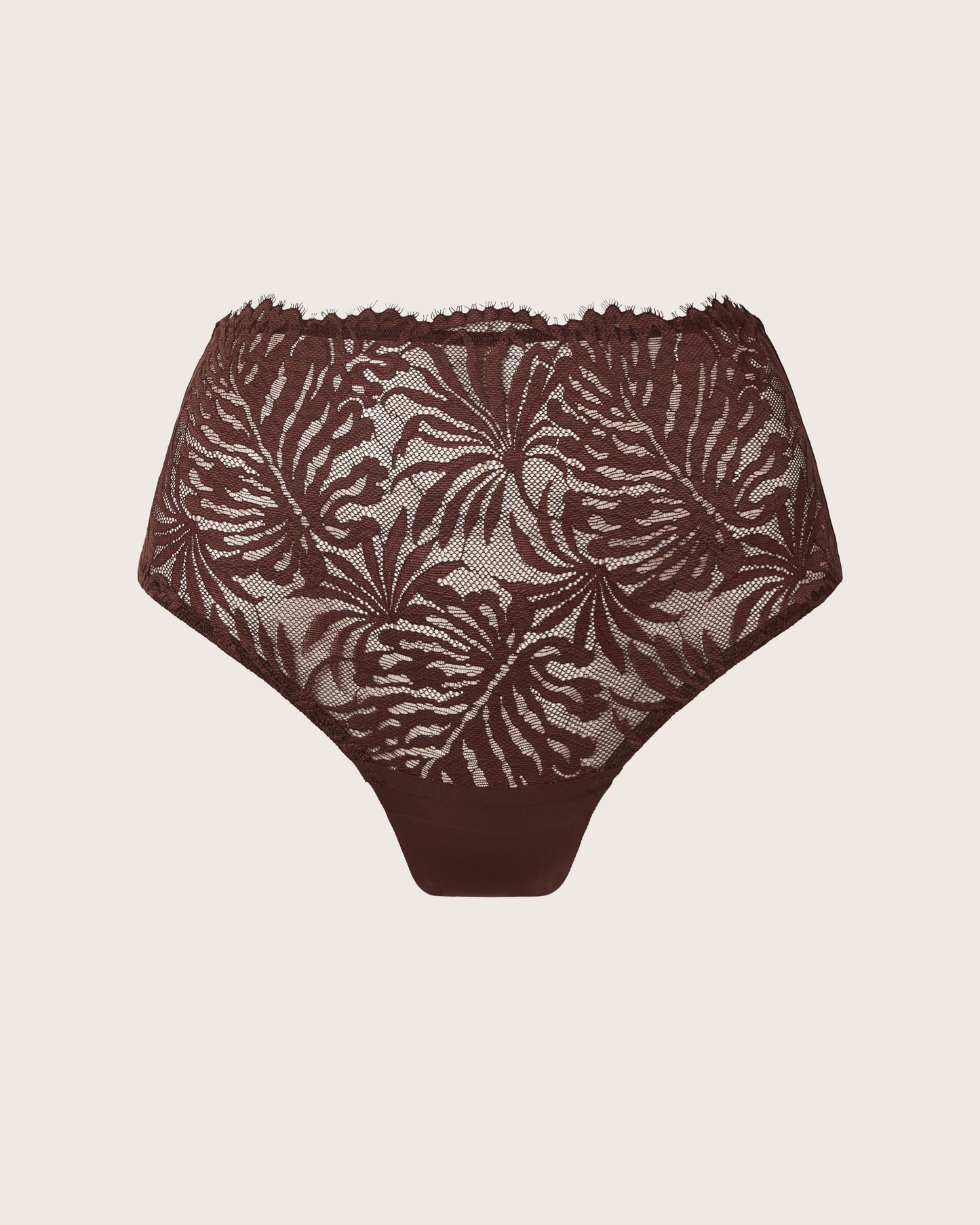 Lace and Micro High Waist Brief