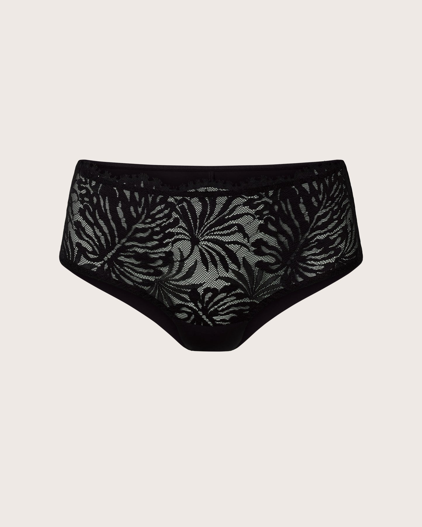Lace and Micro High Waist Brief