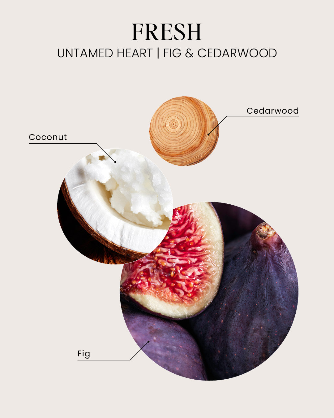 Untamed Heart Hair and Body Mist