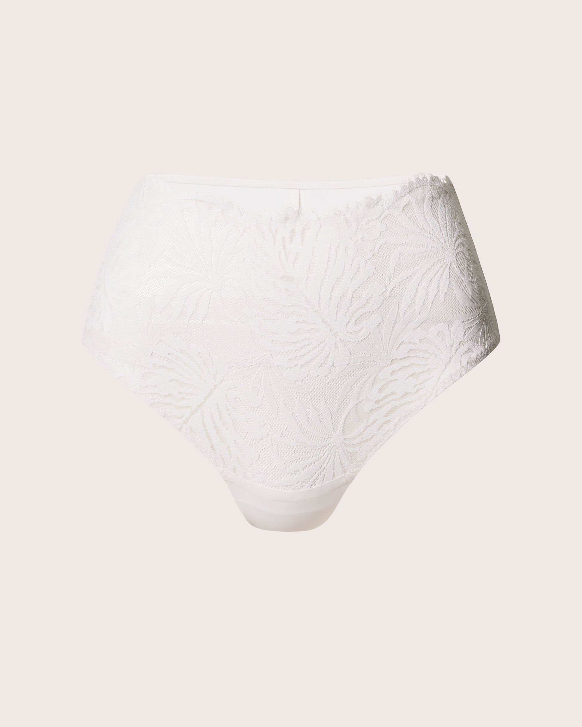 Lace and Micro High Waist Brief