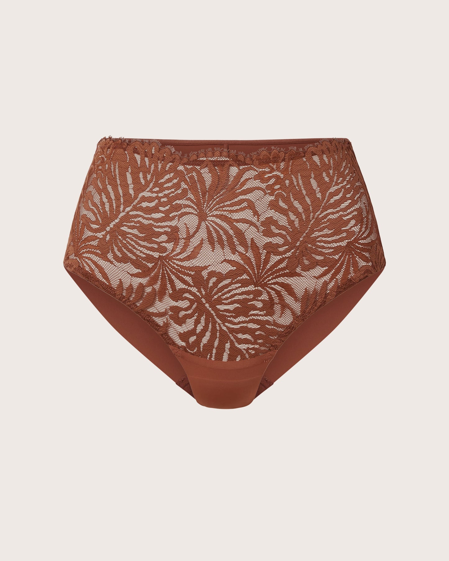 Lace and Micro High Waist Brief