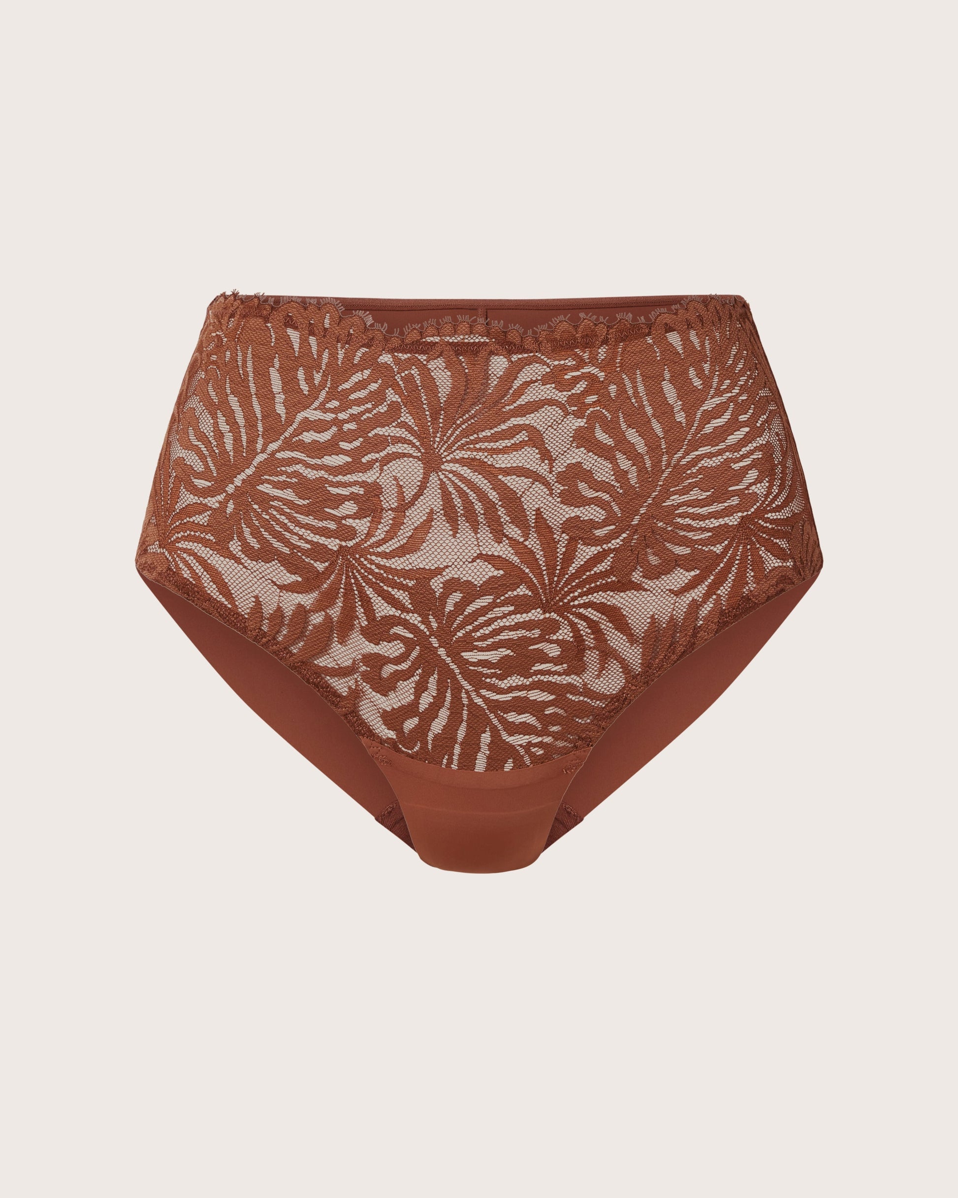 Lace and Micro High Waist Brief