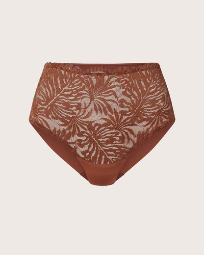 Lace and Micro High Waist Brief